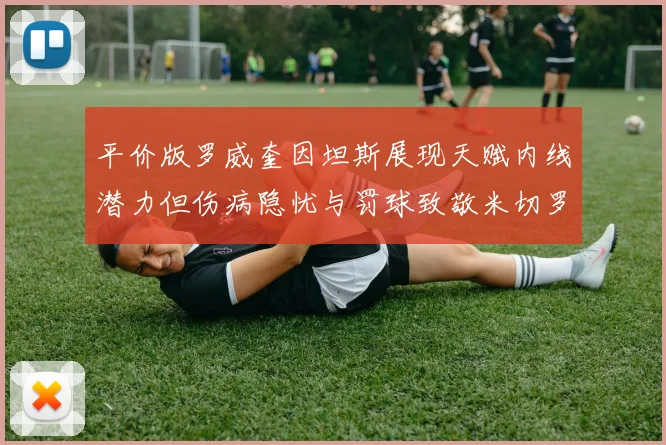 平价版罗威奎因坦斯展现天赋内线潜力但伤病隐忧与罚球致敬米切罗