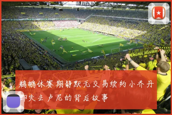 鹈鹕休赛期静默无交易续约小乔丹却失去卢尼的背后故事