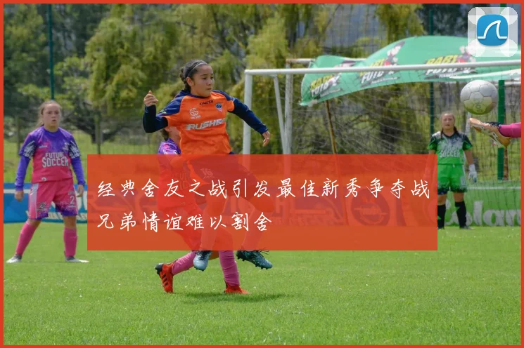 经典舍友之战引发最佳新秀争夺战兄弟情谊难以割舍